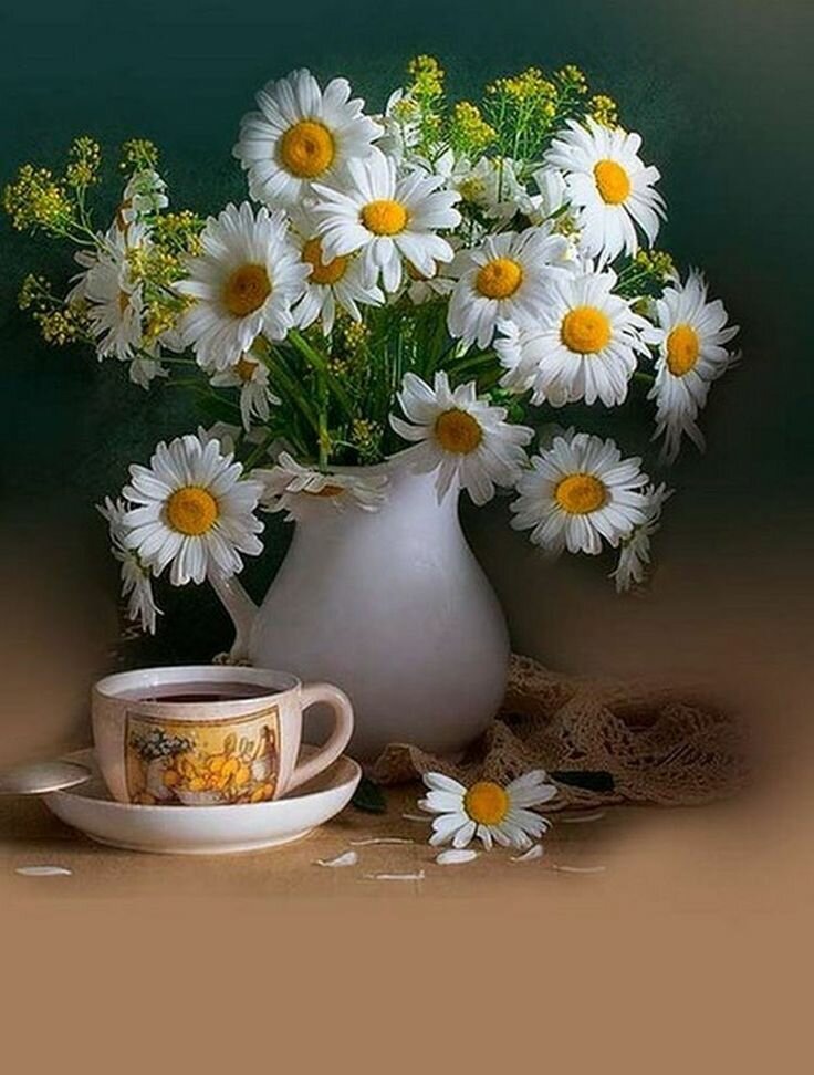 �������� � ������ ����� ������� �������, ������