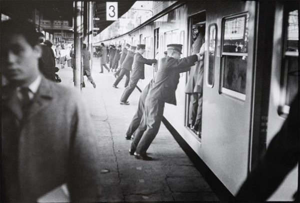 эд ван дер элскен 1966 фото