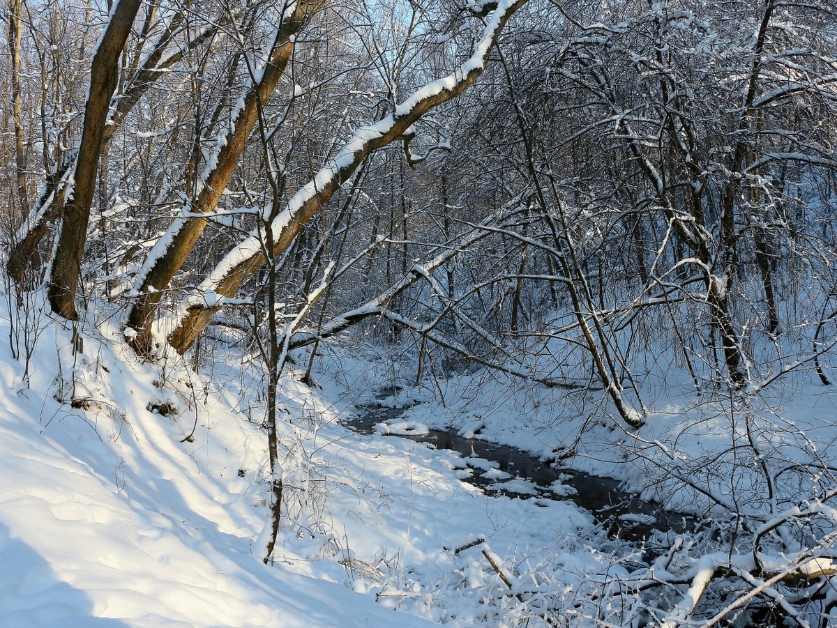 фото весны конец зимы фото