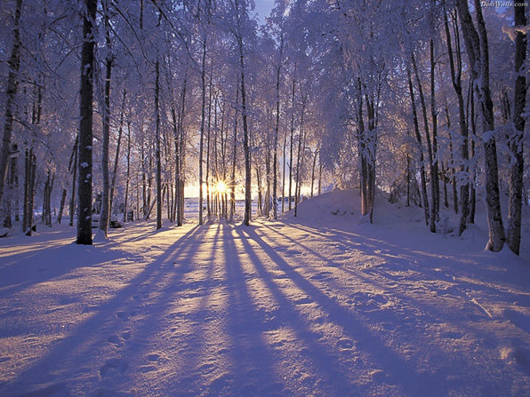 красивая зима фото