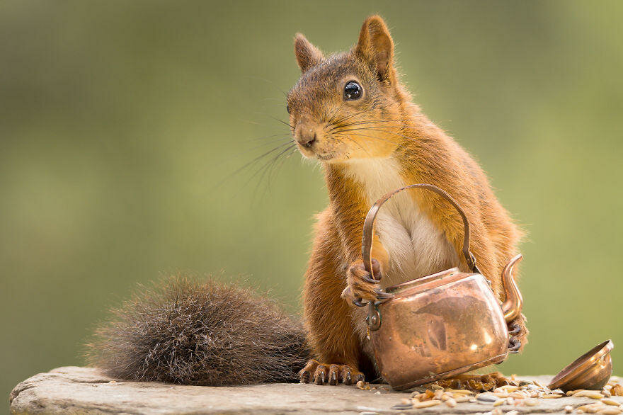 �������� ������� �����