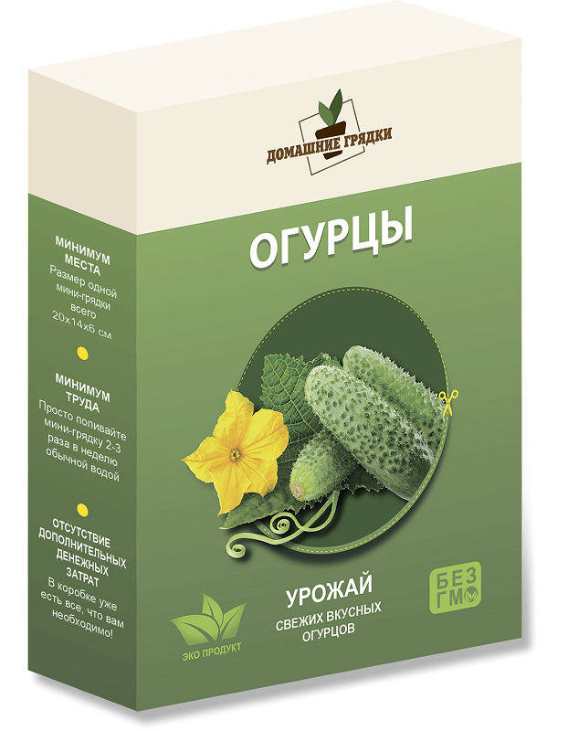 огурцы домашние в коробках фото