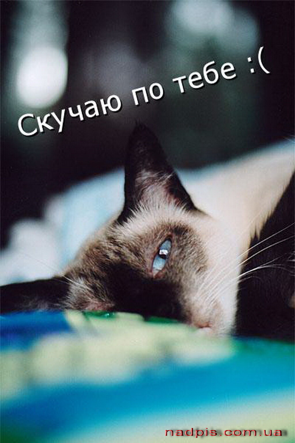 �������� � ������� ������, ����� ����������