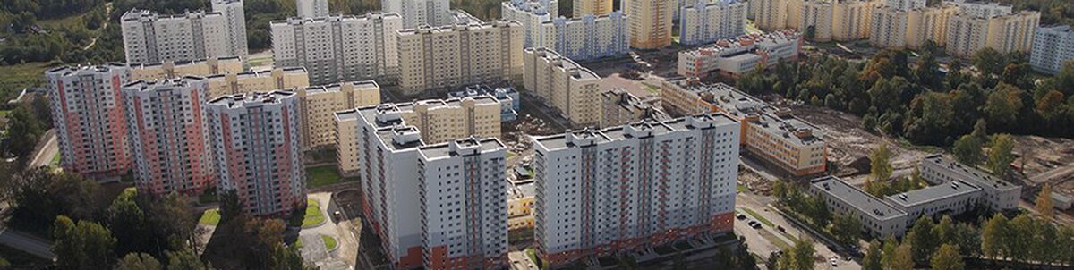 осиновая роща санкт петербург фото