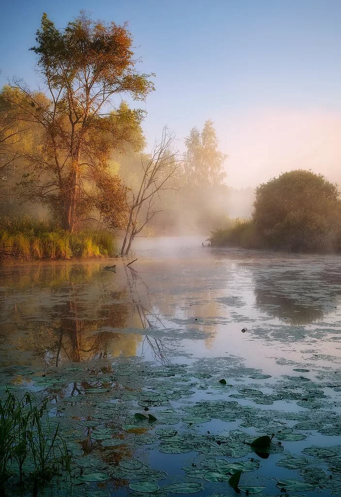 осеннее утро на озере фото