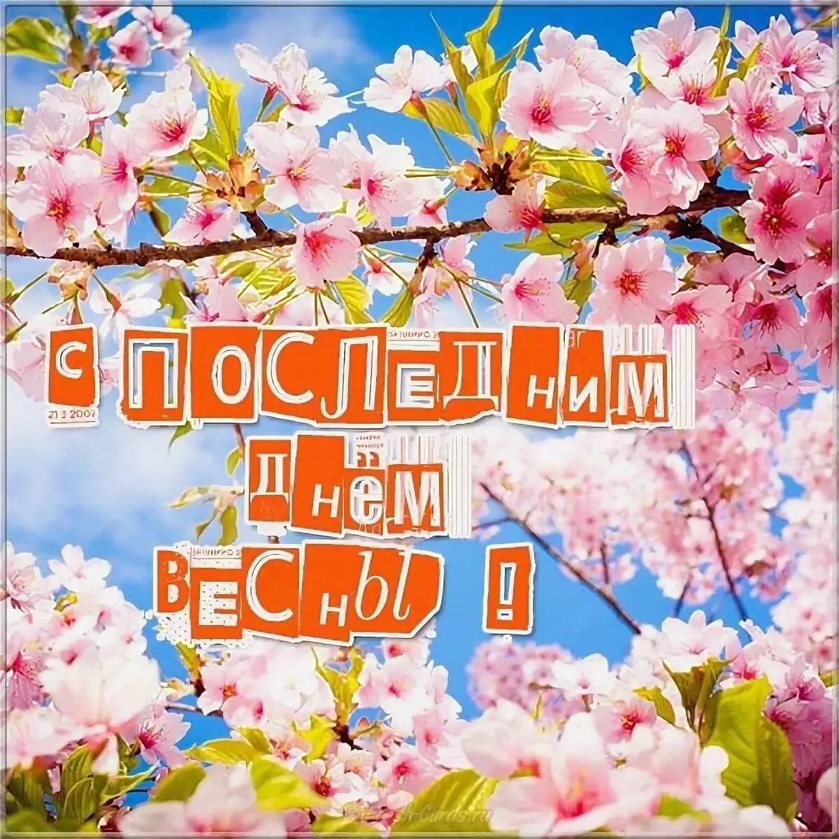 �������� ������ ���� ����������, ��� ���������