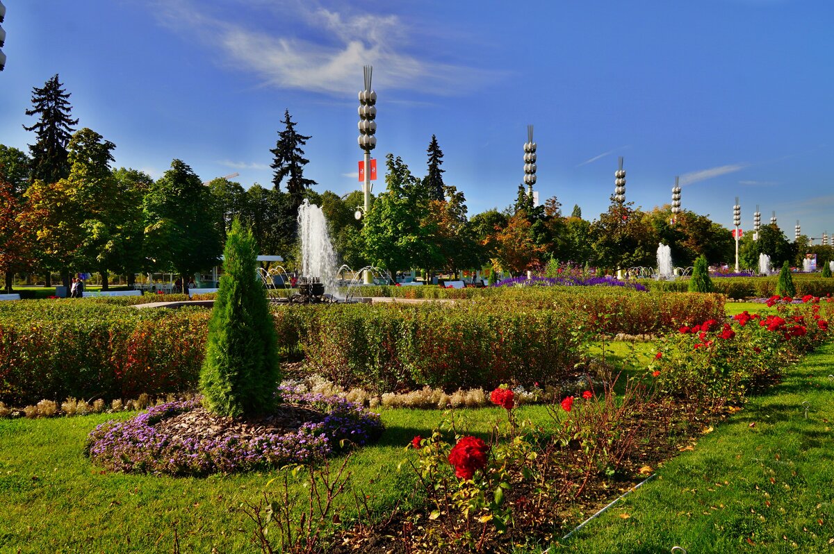 парк вднх фото