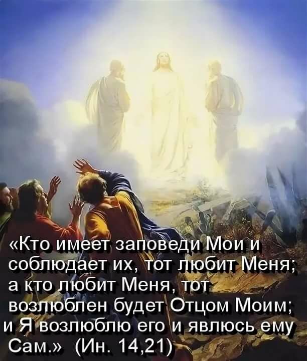 ����� �������� � �������