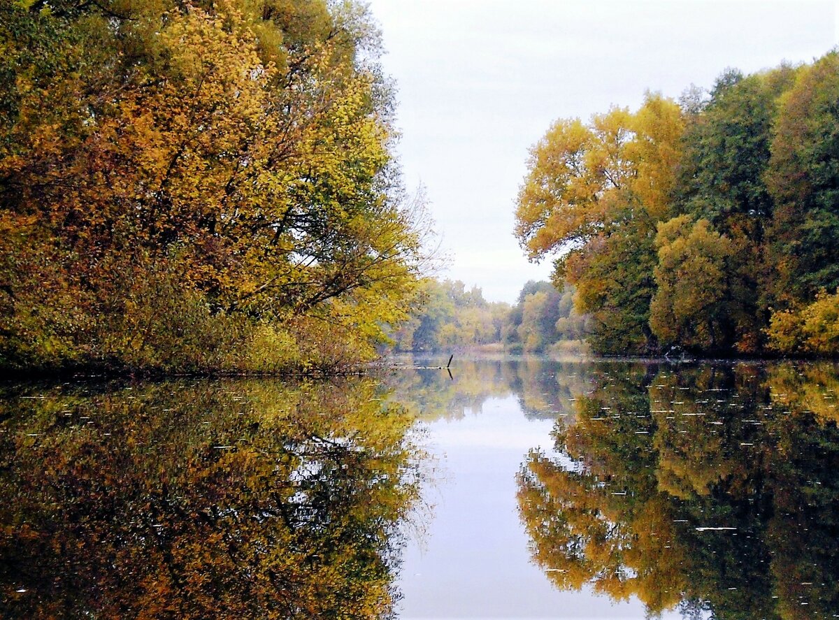 осенний пруд фото