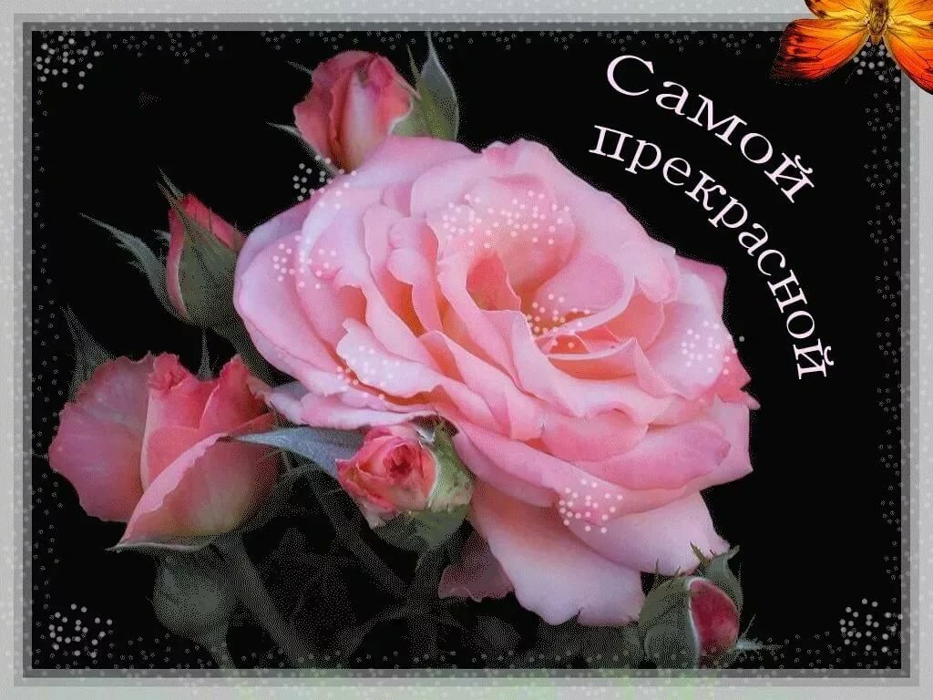 �����, ������� ��� �������� �����