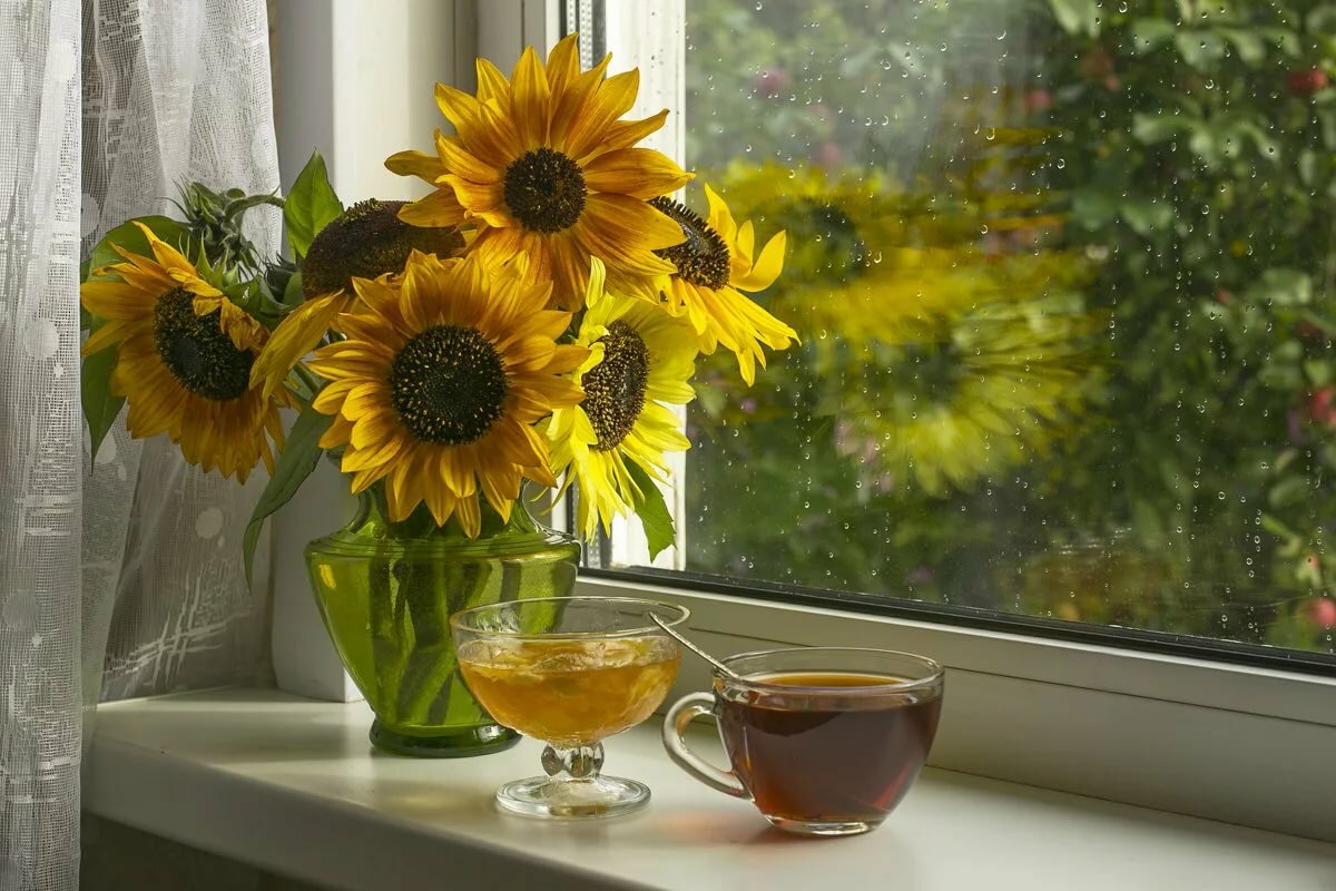 �������� ��������� �����