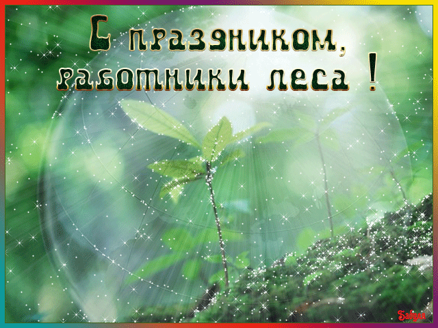 ���� ��������� ���� ��������