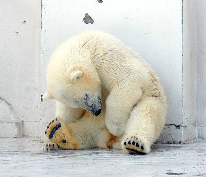 ������� �������� �������� � ���������