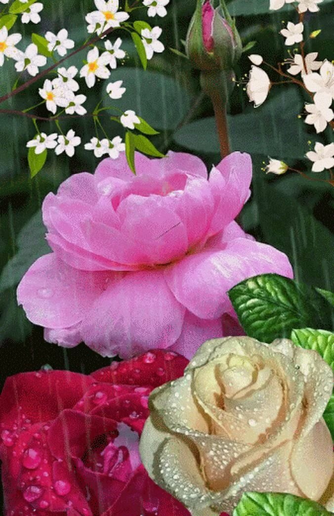 ����� ������ ��������