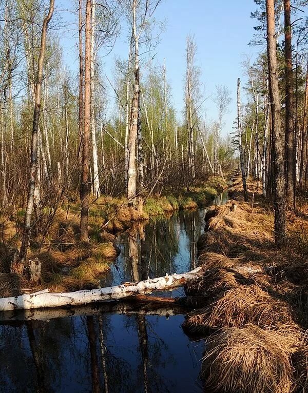 рдейский природный заповедник фото