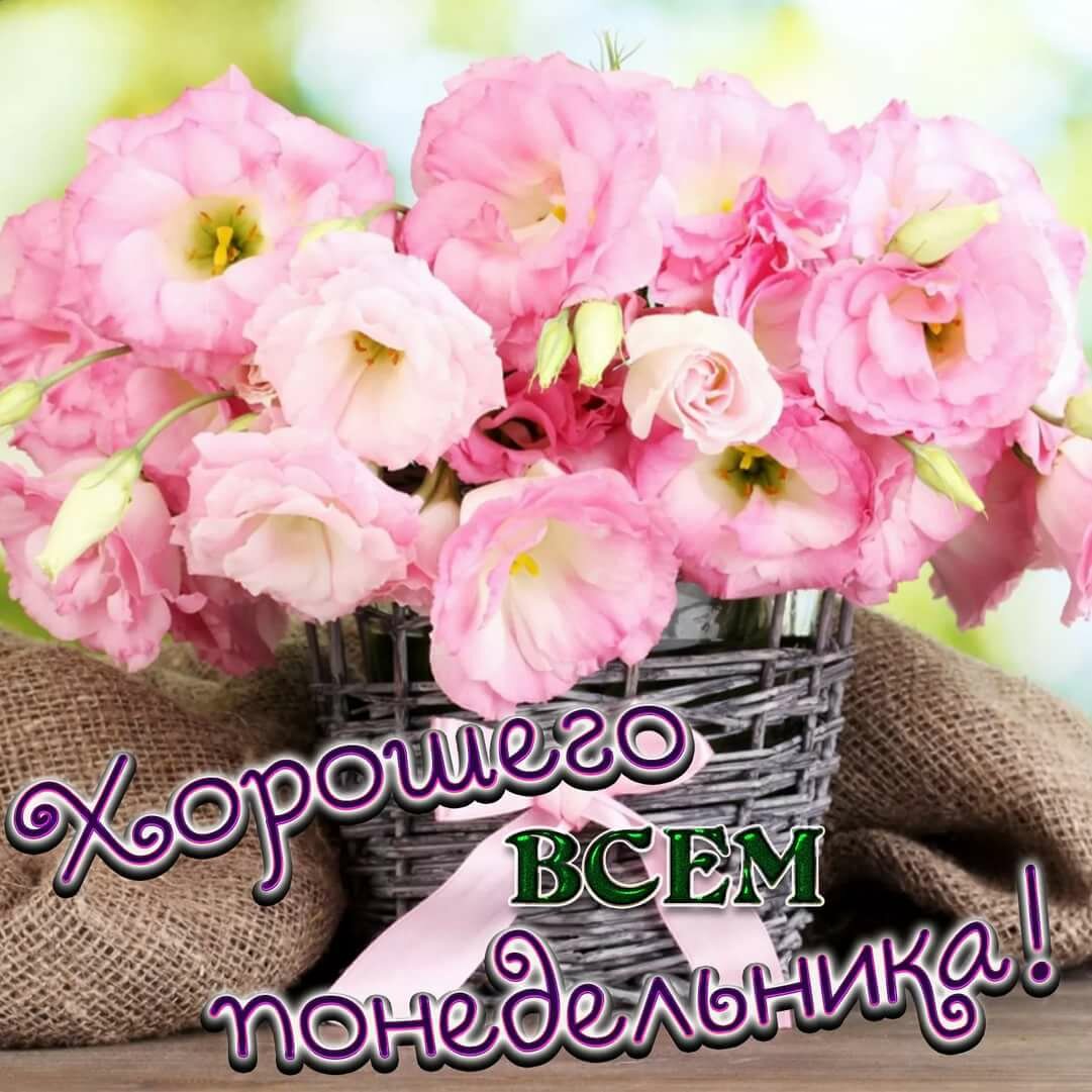 ����������� �������� �������� �����, ���� ���� ������