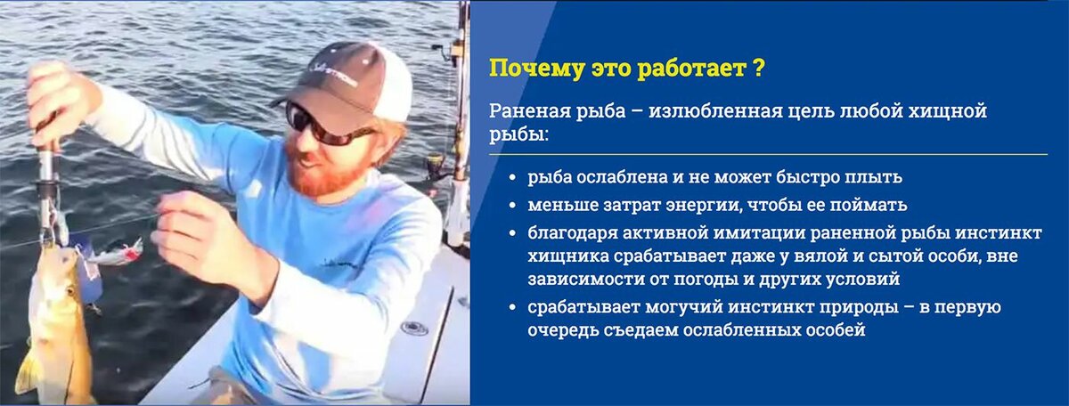 ловля хищной рыбы фото