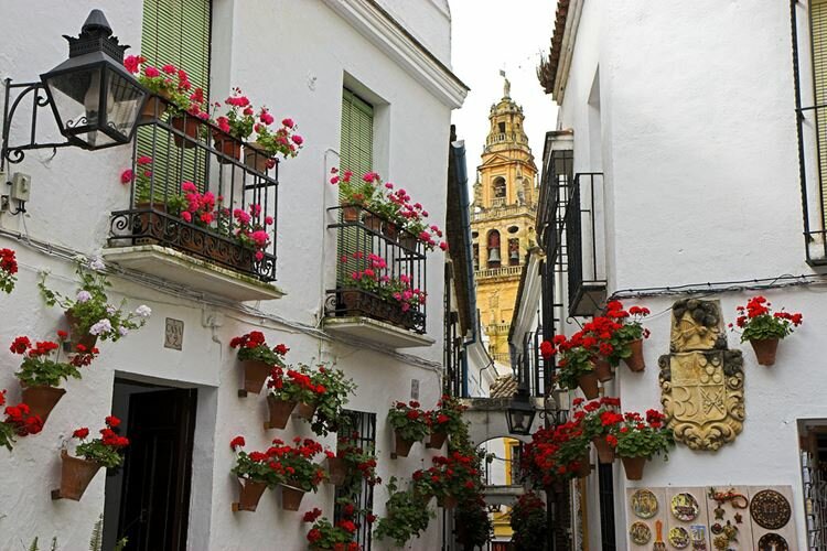 calleja de las flores, испания фото