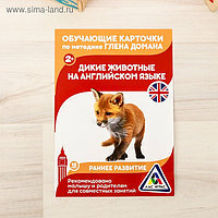 карточки г домана дикие животные фото