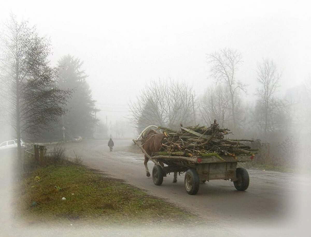 телега на дороге картинка фото