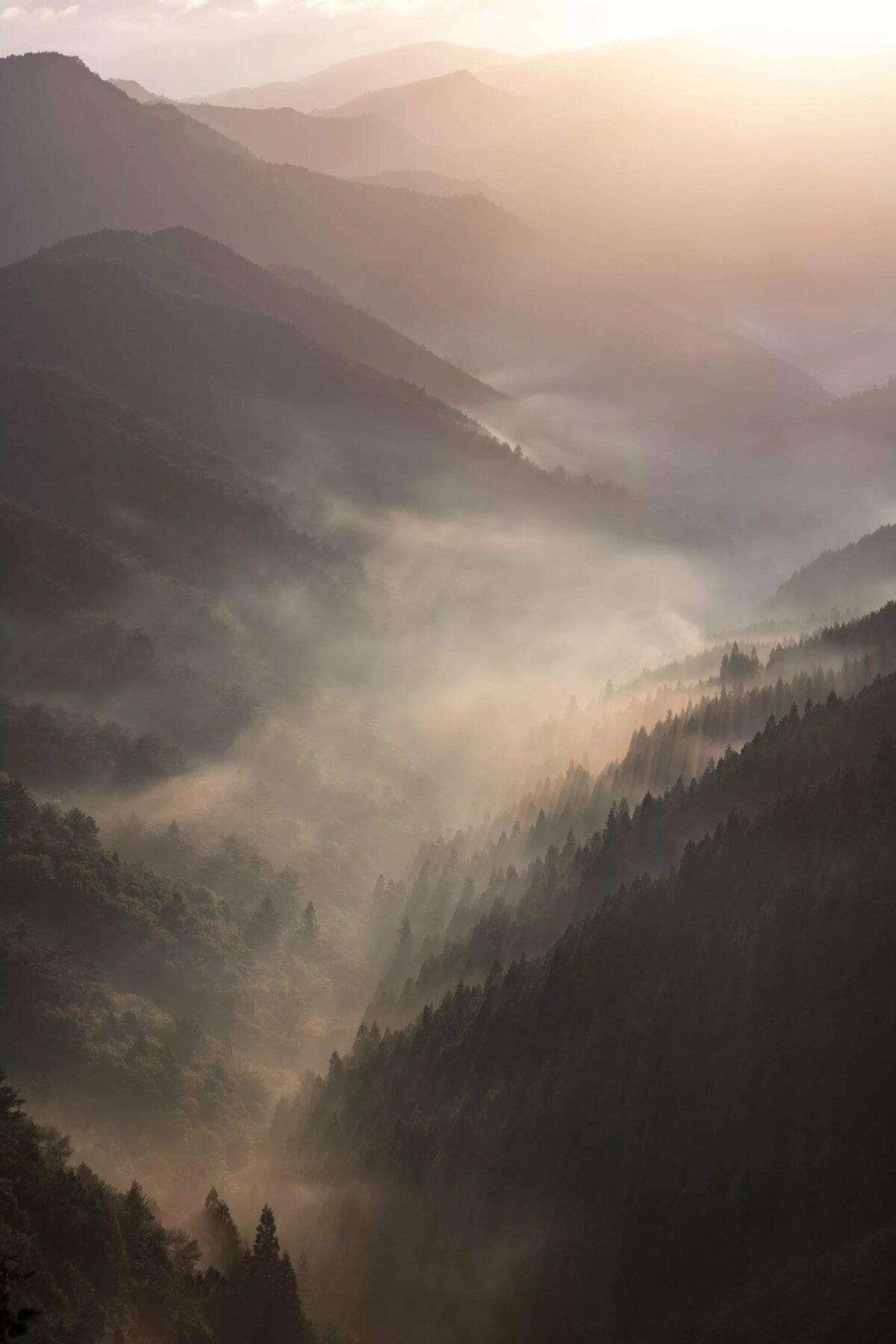 горы туман фото