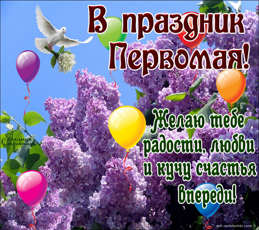 �������� ���������, �������� � ����������� 1 ���