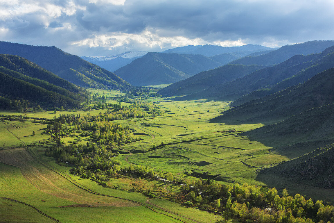 уймонская долина горный алтай фото
