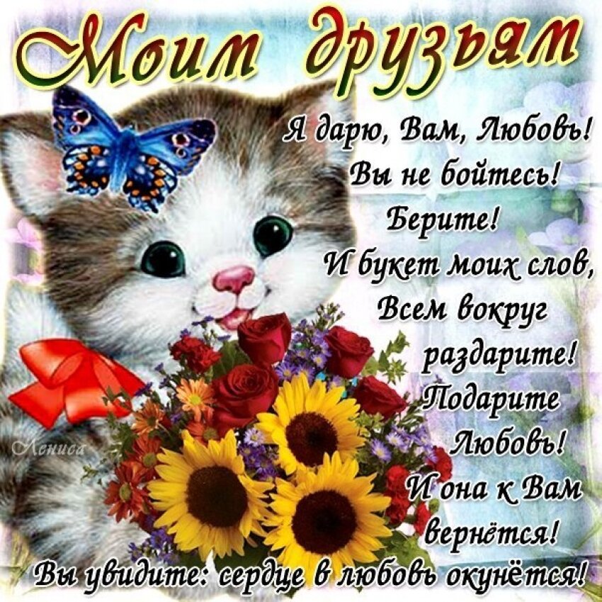 ���� ������ �������� ������������ ��� �������