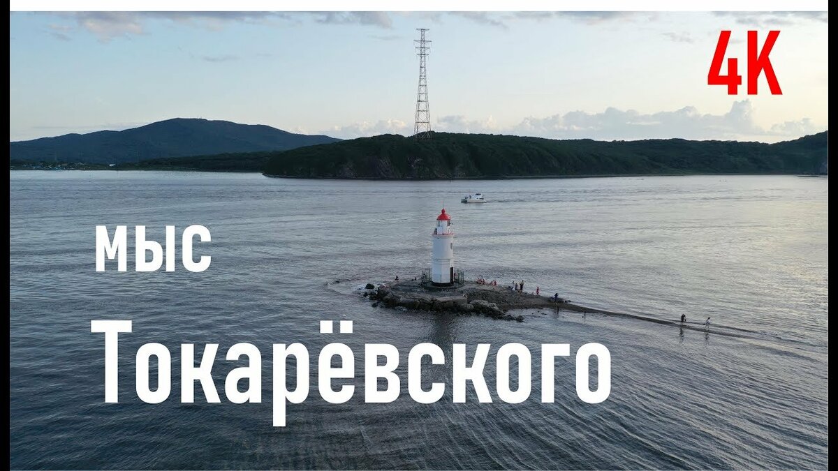 токаревская кошка фото