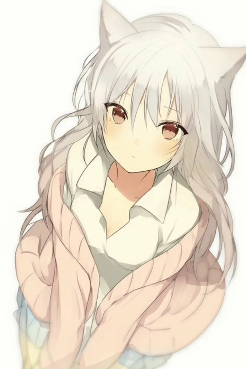 Картинки аниме девушек с белыми волосами неко