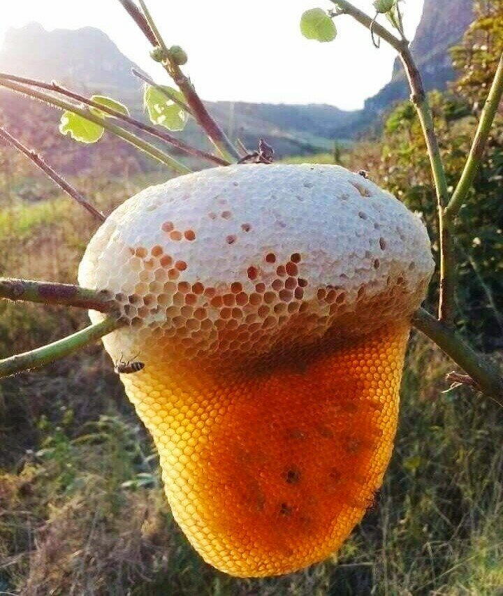 (64) Одноклассники