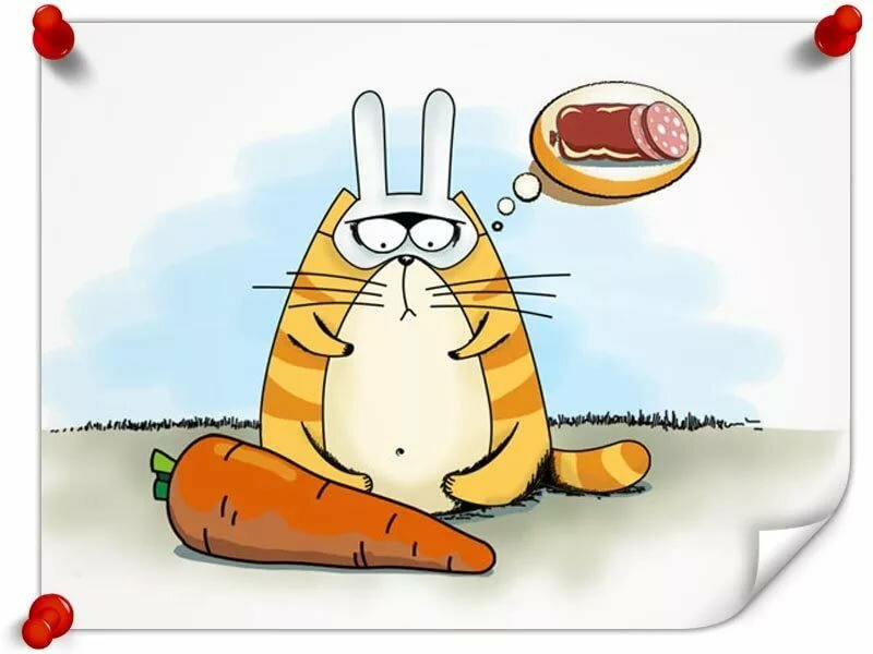 ������� �������� ���� � ��������