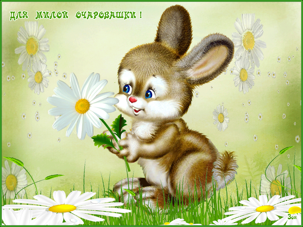 � ���� ��� ������ �������� ��������, ���������� �������