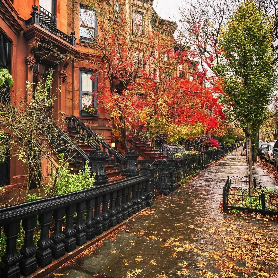 осень в нью йорке фото