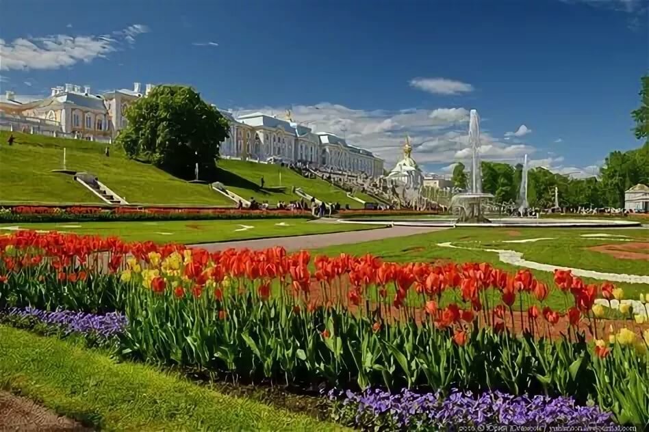 петергоф весной фото