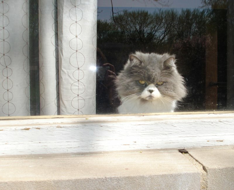 ������ ������ ��������