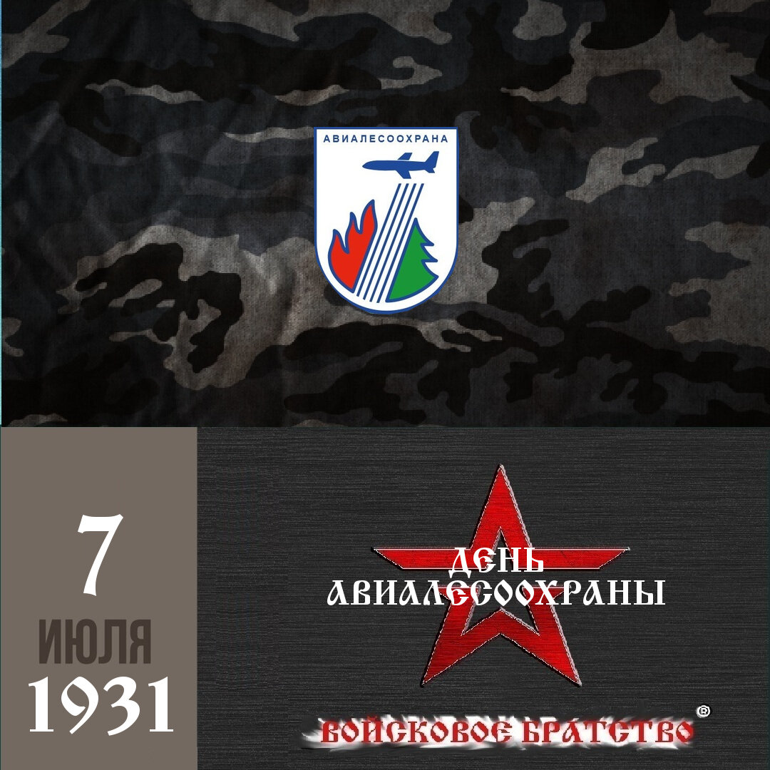 Авиалесоохрана фото