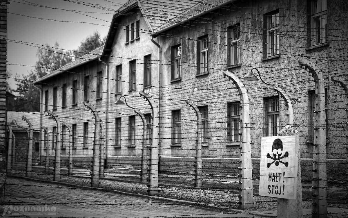 узник освенцима фото