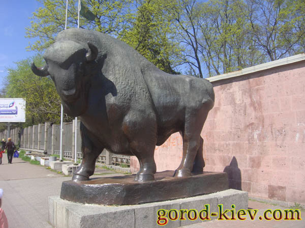 киевский зоопарк the kiev zoo фото