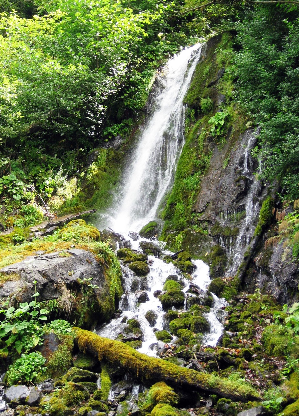 природа абхазии водопад фото