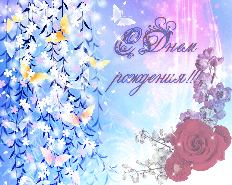 ������������� �������� ���������������, ������ ������ ��������