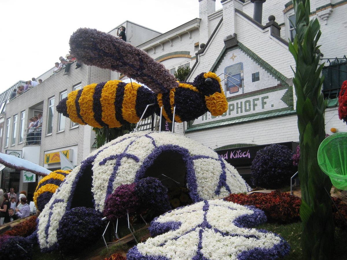 фестиваль цветов bloemencorso в голландии фото