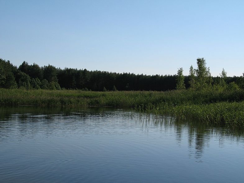 озеро боровушка фото