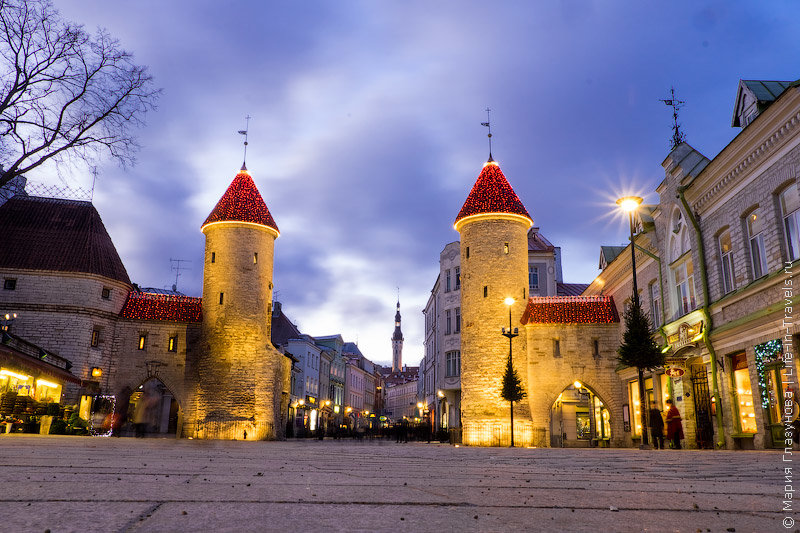 таллинн вируские ворота фото