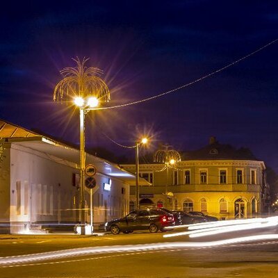 вечерний елец фото