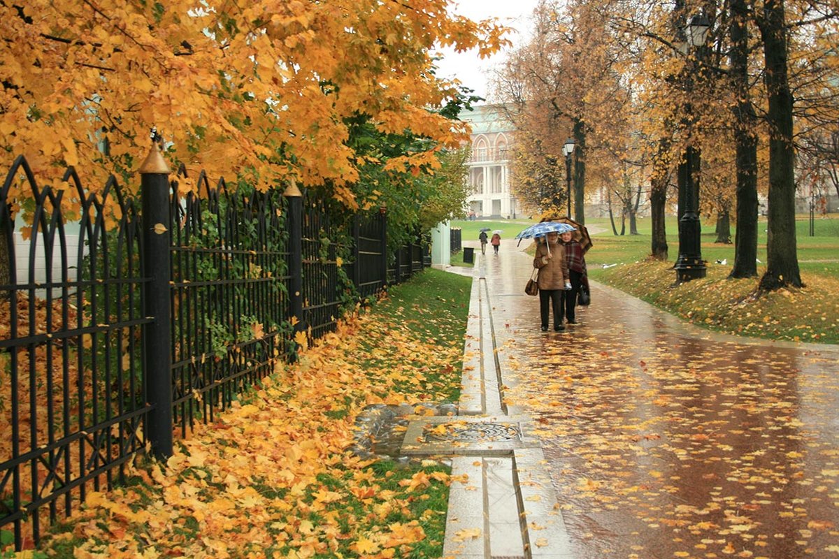 С латиноской где-то в парке
