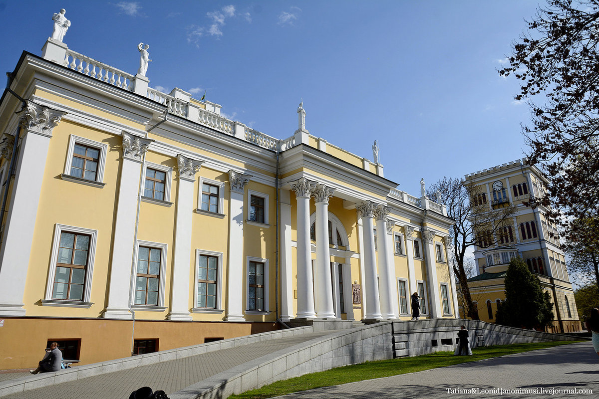 дворец румянцевых - паскевичей фото