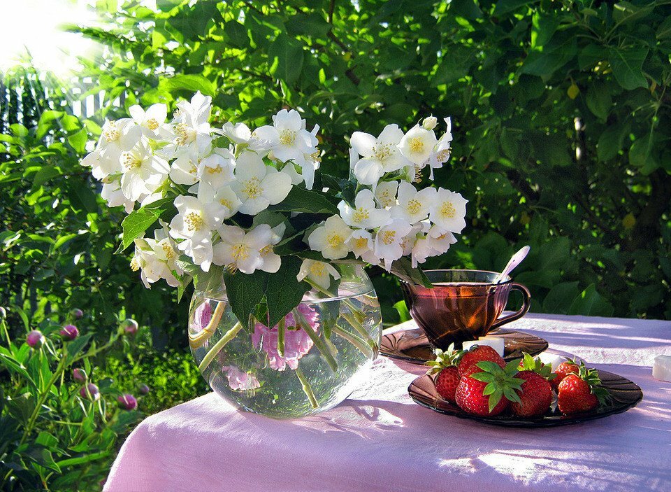 ������� � ������� �������� ������ ���� �������� ����� ���