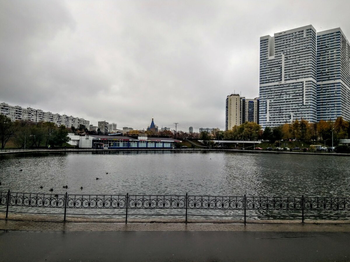 северное чертаново пруд фото