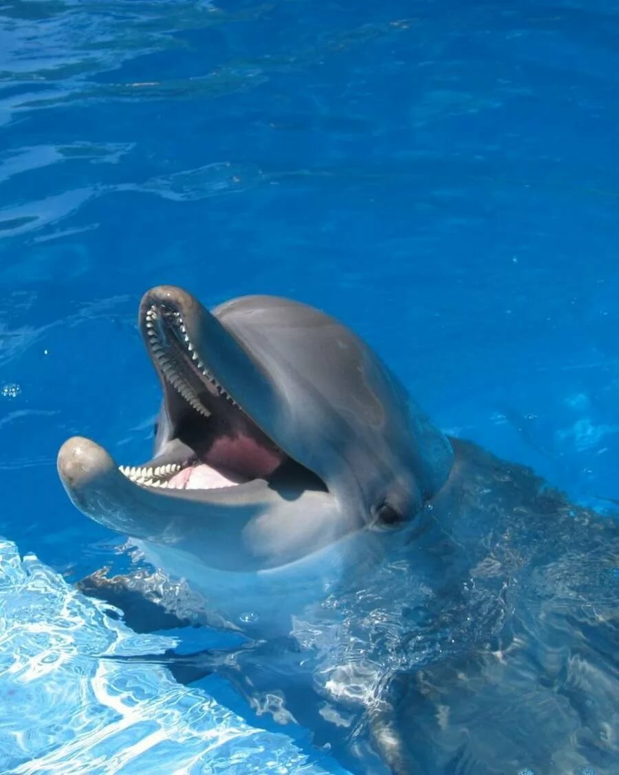 ���������� �������� � ����������, ��� ��������� ���������